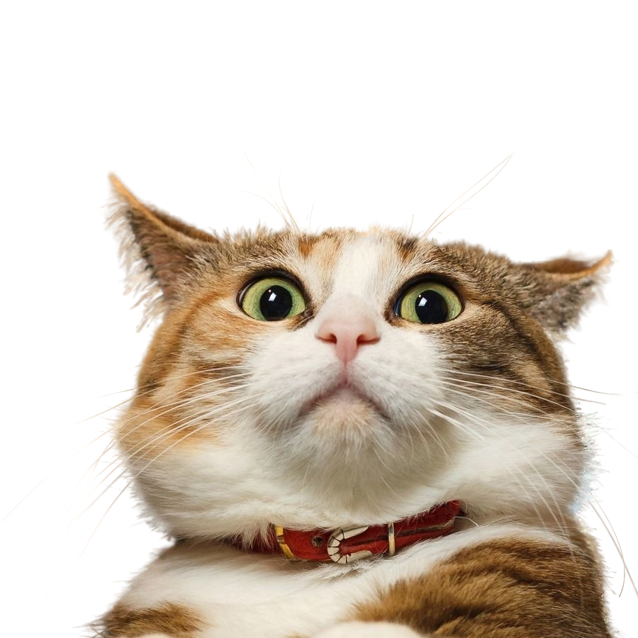 error